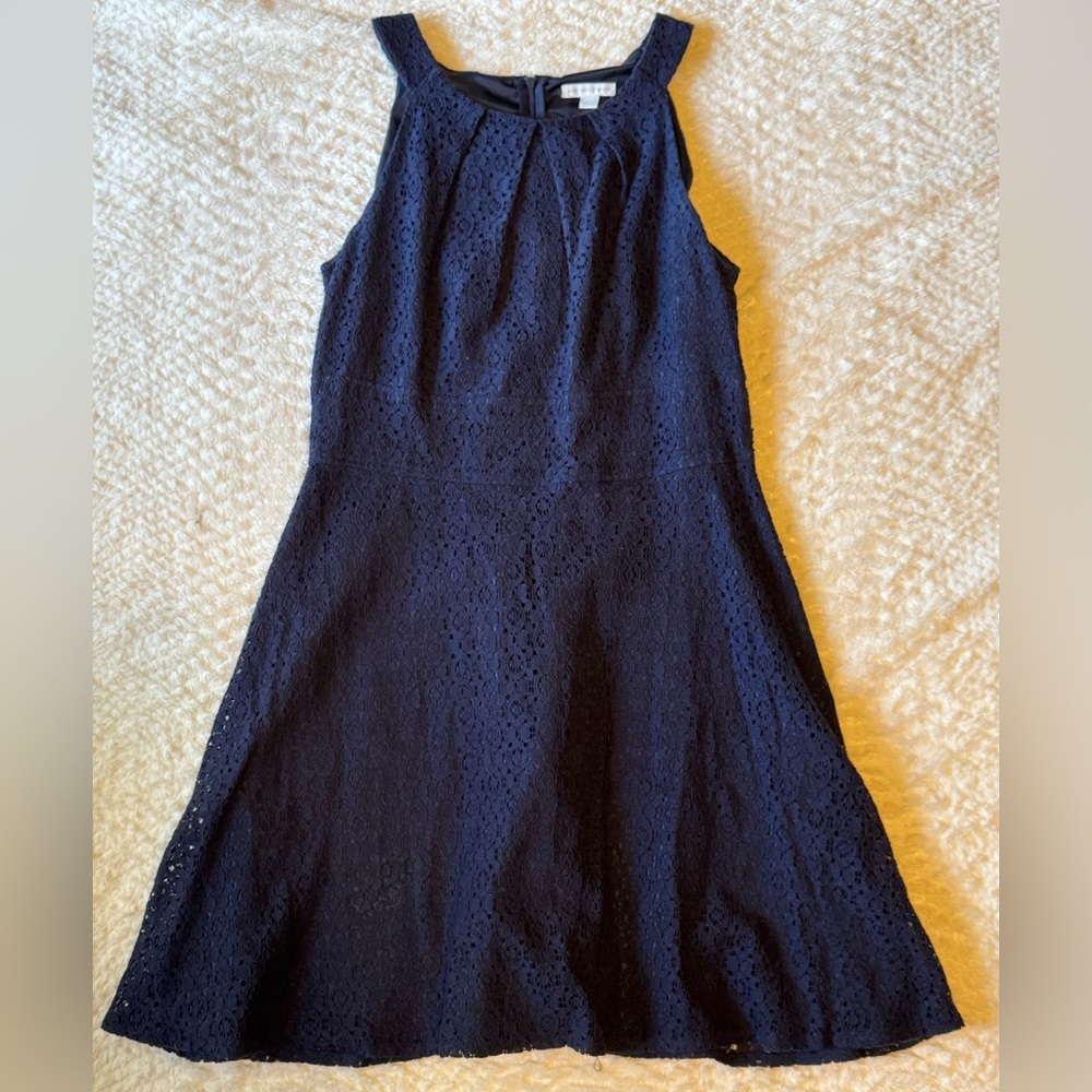 New York & Company Midnight Blue Lace Mini Dress